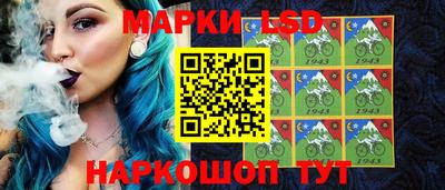 меф Гатчина
