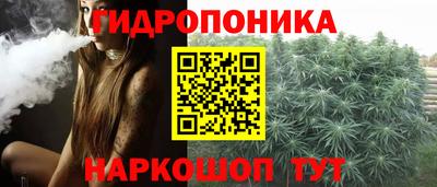 apvp Гагарин