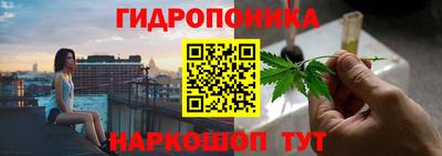 apvp Гагарин