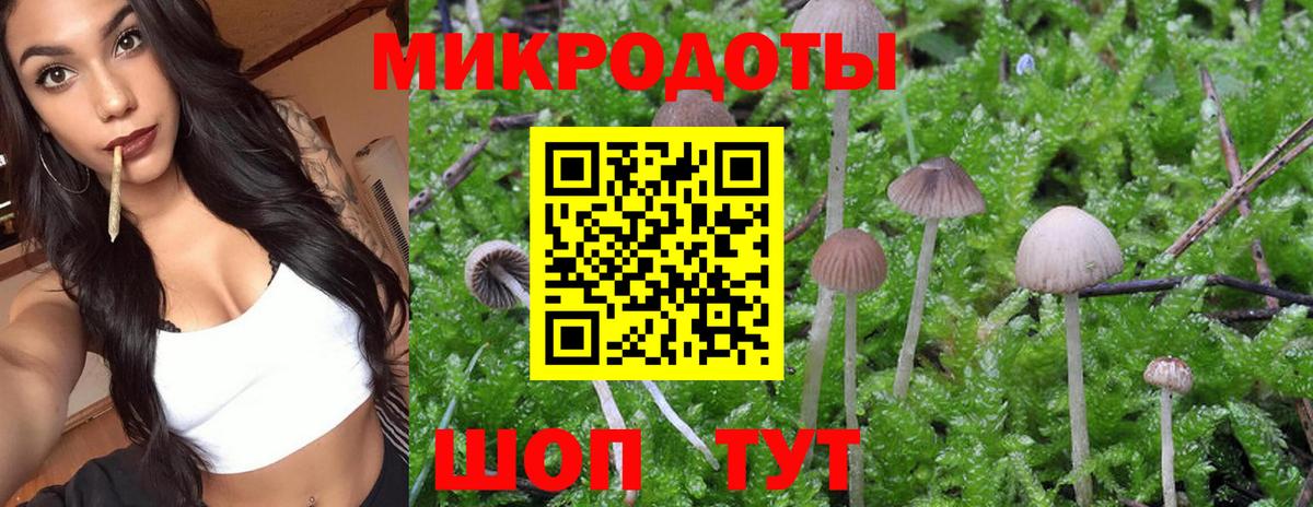 Галлюциногенные грибы Magic Shrooms  Галлюциногенные грибы Magic Shrooms  Вход с VPN  Троицк 